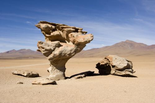 stone tree