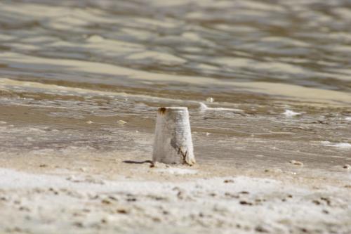 salt