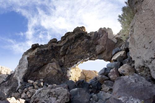 coral bridge
