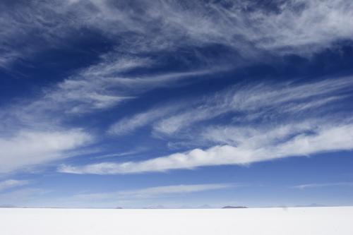 white wonderland!