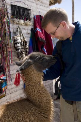 Rob with llama