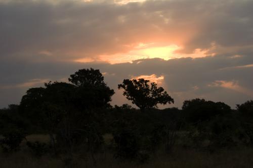 under African skies