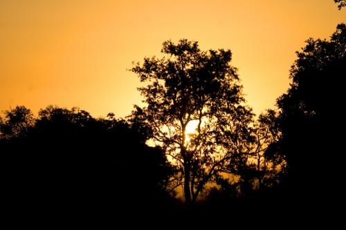 last Kruger sunset
