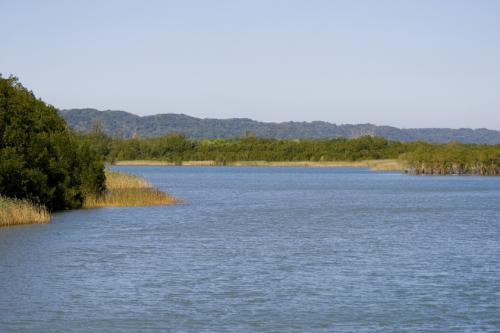 down the estuary