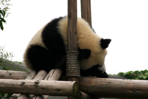 nearly-bedtime