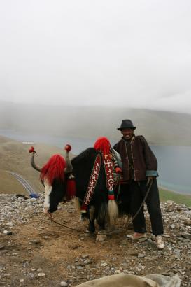 yak-man