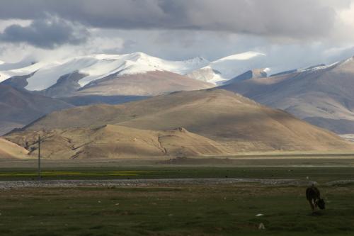 Tingri-plains