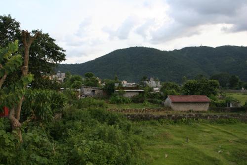 side-view-from-room