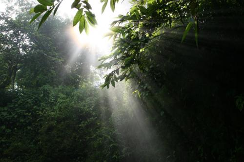 hazy-sunlight