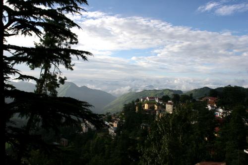 scenic-view-from-room