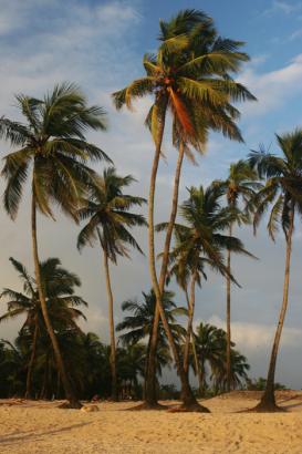 Colva-beach