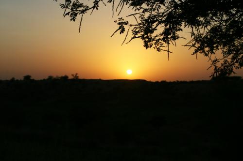 Desert-sunset-2