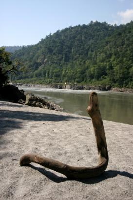 Ganges valley