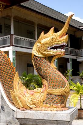 golden dragon