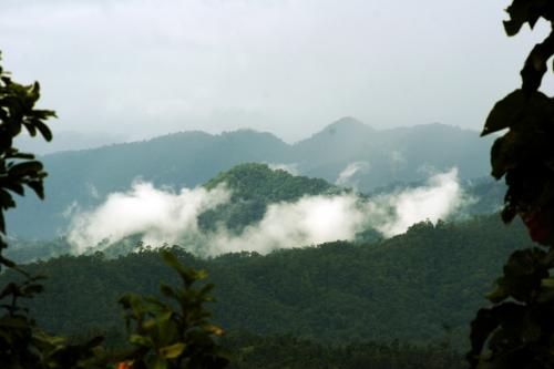 Burmese border