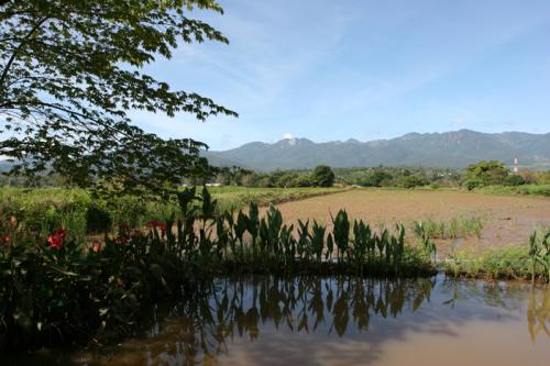 how nice is Pai?