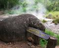 hot springs