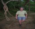 tree swing
