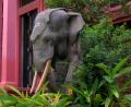 stone elephant