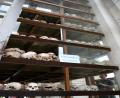 some unearthed skulls
