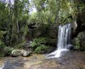 beautiful jungle