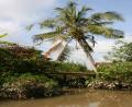 backwaters