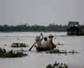 Mekong life