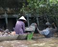 hand fishing