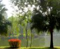 botanical gardens