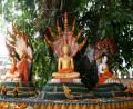 circle of Buddhas