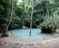 natural swimming pool