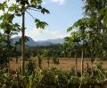 otherside of river scenery