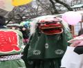 Japanese dragon