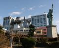 Fuji tower and Liberty
