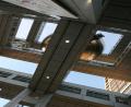looking up at observation tower