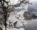 icicle trees