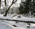 Hokkaido Shrine park
