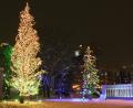 more Odori park