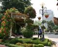green city