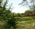 nice park