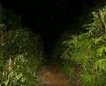 dark and scary!!