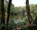 Lane Cove National Park