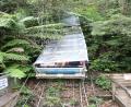 scenic train