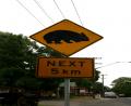 watch out for Wombats!!
