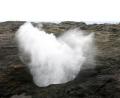crazy blowhole