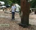 Rob and guana