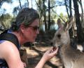 me and tame kangaroo