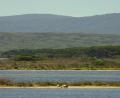 across the estuary