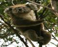 hanging around
