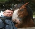 clydesdale cuddle